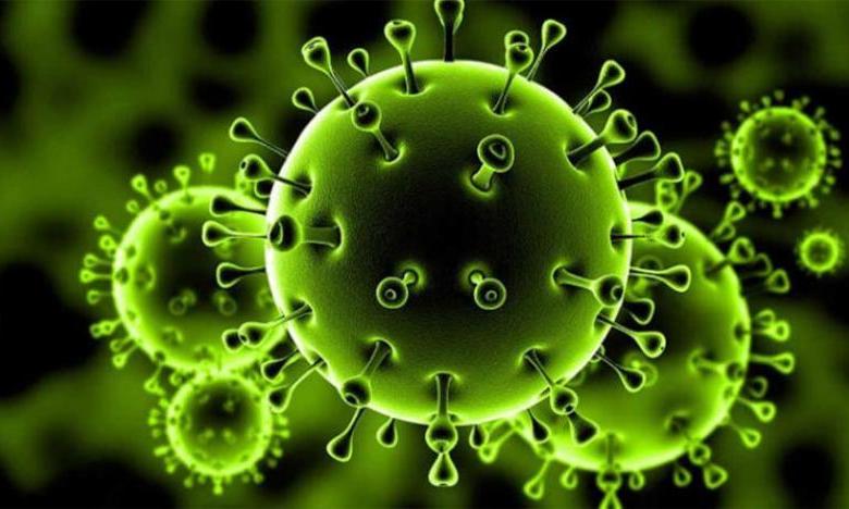 الوسطى صفر حالات.. تعرف على توزيع حالات الإصابة لهذا اليوم 8 الوسطى صفر حالات.. تعرف على توزيع حالات الإصابة لهذا اليوم