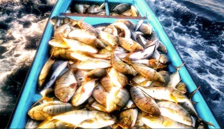 IMG ٢٠٢٠٠٦٠٦ ١٠٠٤٥١