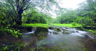 إلغاء إقامة المخيمات لخريف صلالة 2020م