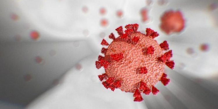 ثلاث حالات وفاة.. تعرف على توزيع حالات الإصابة اليوم