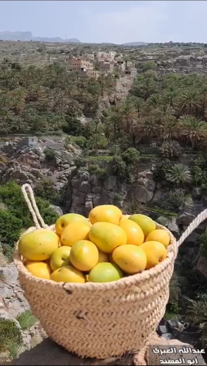 قصيدة القفير