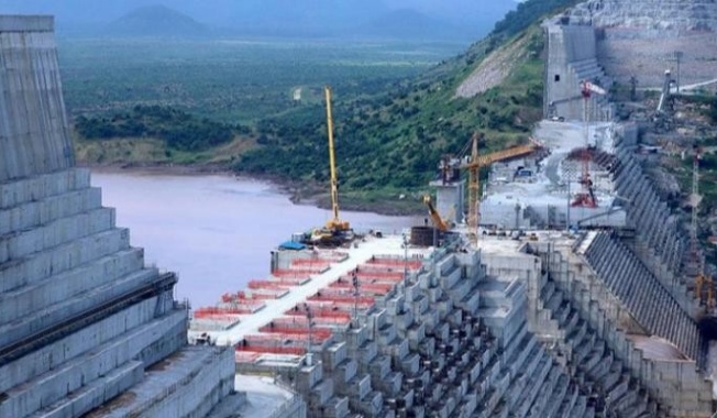 الإمارات والتطبيع وسياسة” الرحم البديل” ﻿