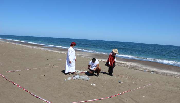 إدارة البيئة بشمال الباطنة تشارك في برنامج المسح الشامل للشواطئ