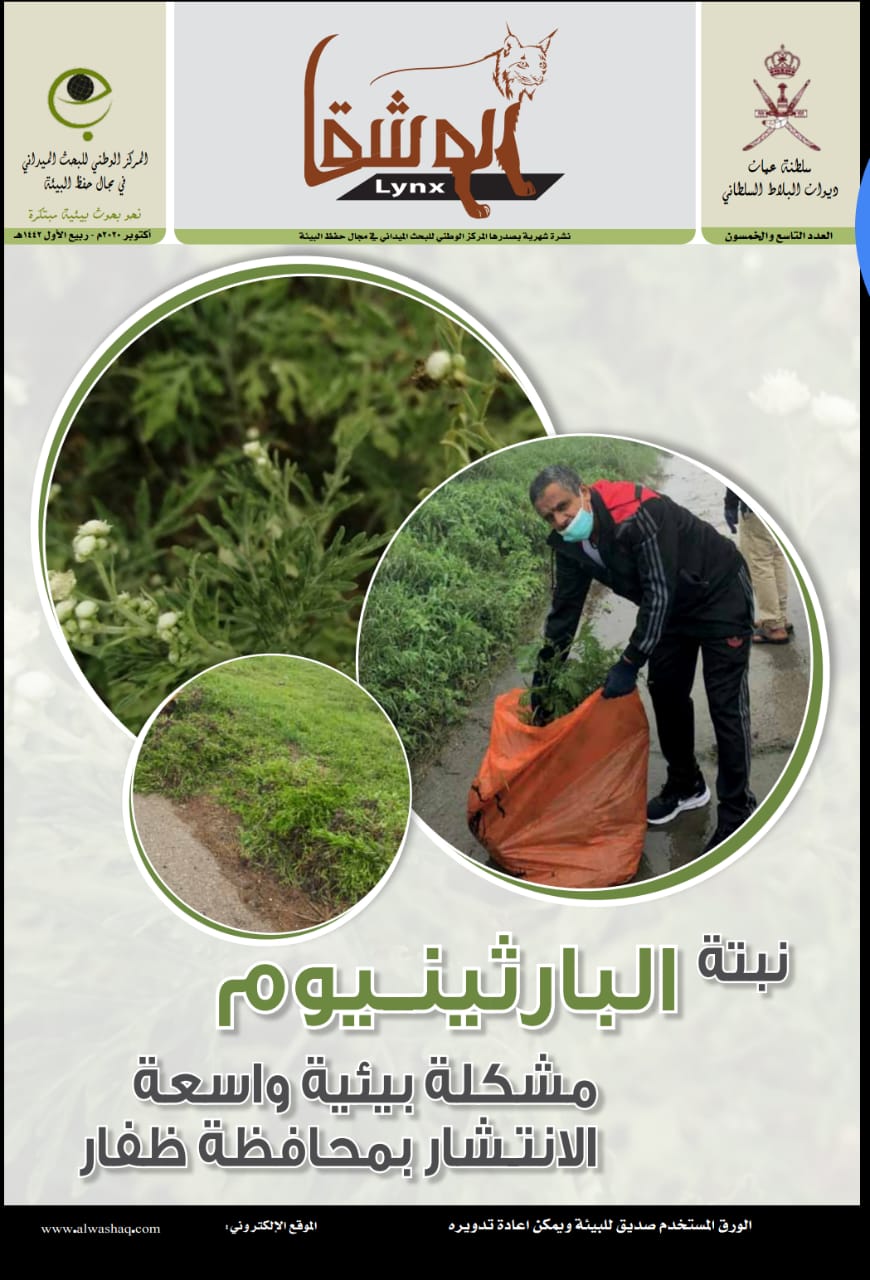 الوشق” تتناول مشكلة نبتة البارثينيوم في عددها الجديد