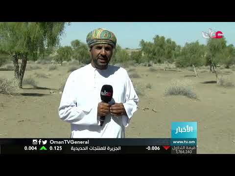 #أخبار_الثانية ظهرا | الإثنين 19 أكتوبر 2020