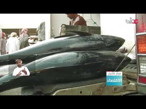 أكثر من 388.3 ألف طن إجمالي الأسماك المنزلة بالصيد الحرفي بالسلطنة بنهاية يوليو 2020