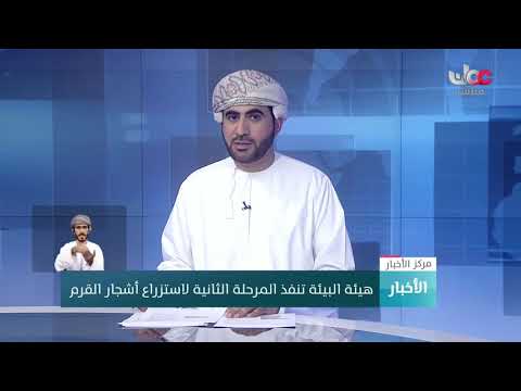 هيئة البيئة تنفذ المرحلة الثانية لاستزراع أشجار القرم