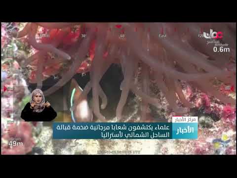 علماء يكتشفون شعابا مرجانية ضخمة قبالة الساحل الشمالي لأستراليا