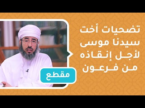 تضحيات أخت سيدنا موسى لأجل إنقاذه من فرعون- د.سيف الهادي