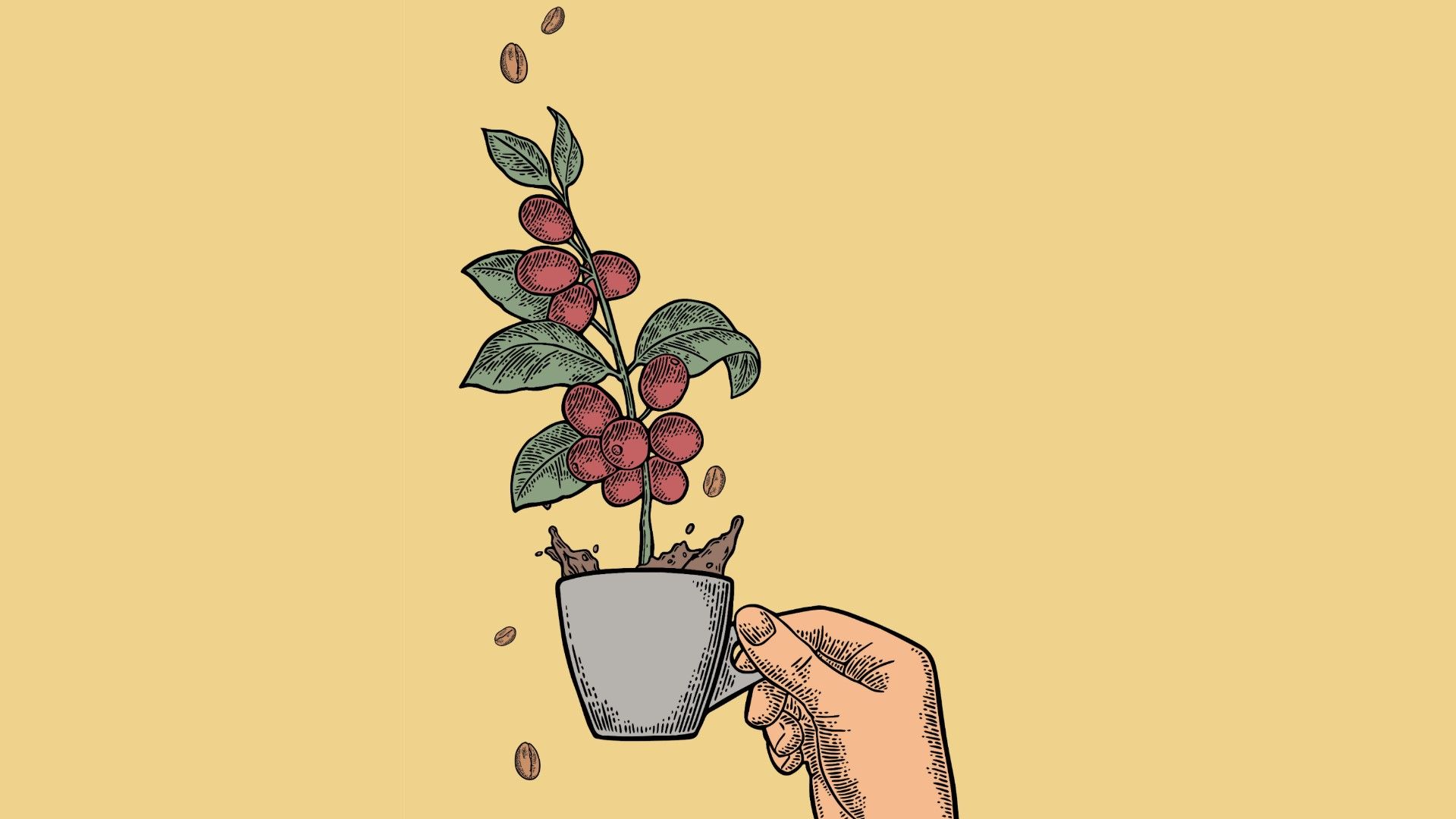 تاريخ القهوة في معرض ببروكسل