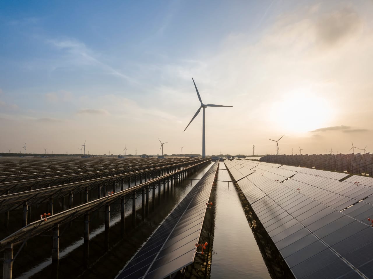 شركات عالمية تبدي اهتمامها بالاستثمار في مشروعات الهيدروجين الأخضر بالمناطق الاقتصادية والحرة