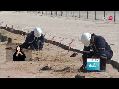 زراعة أكثر من 1600 شجرة برية في منطقة خزان للغاز بمحافظة الظاهرة