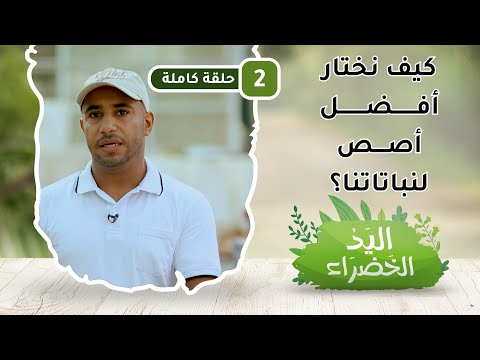 (كيف نختار أفضل أصص لنباتاتنا؟) – ح2 – اليد الخضراء
