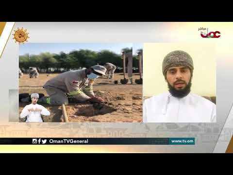 مبادرة زراعة 10 ملايين شجرة    النخيل وشتلات الفواكه مساحات خضراء