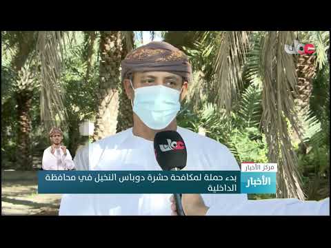 بدء حملة لمكافحة حشرة دوباس النخيل في محافظة الداخلية