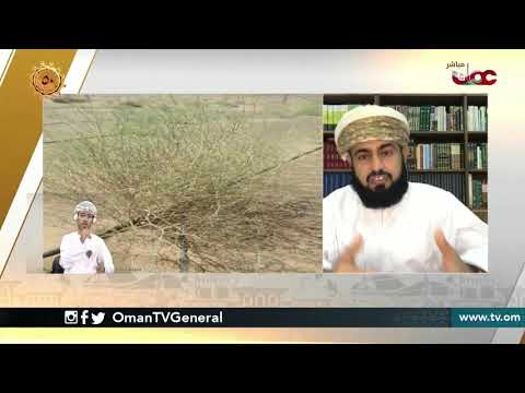 مبادرة الإستزراع البيئي بولاية بدية