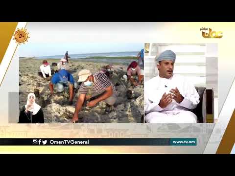 يوم الشجرة خطط مستقبلية من هيئة البيئة