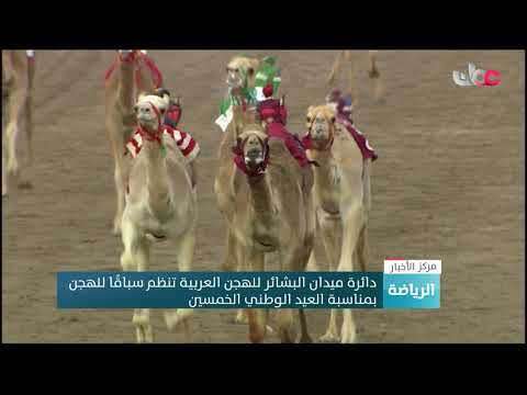 دائرة ميدان البشائر للهجن العربية تنظم سباقًا للهجن بمناسبة العيد الوطني الخمسين