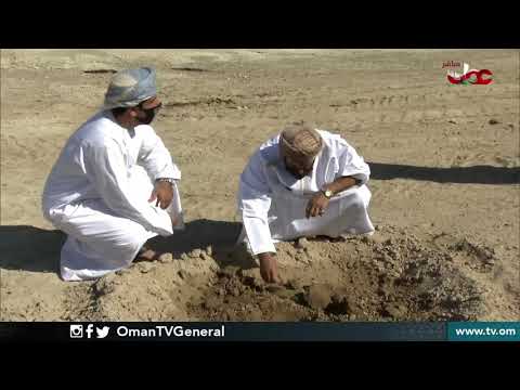 مشروع استزراع ألف شجرة بمحافظة البريمي