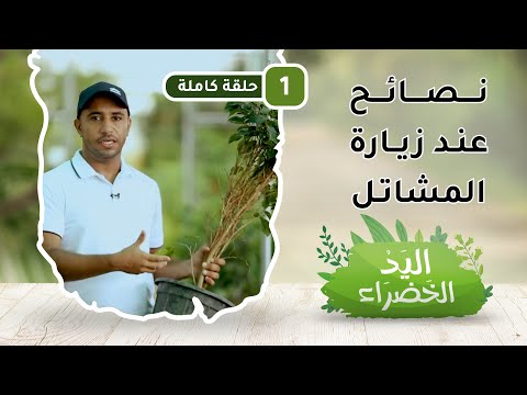 (نصائح عند زيارة المشاتل الزراعية) – ح1 – اليد الخضراء