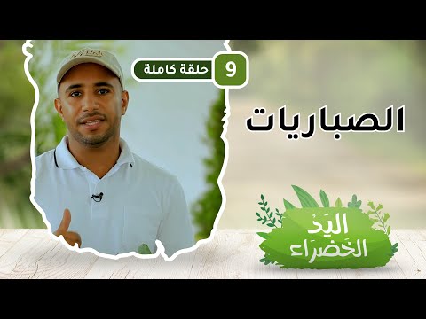 الصباريات – ح9- اليد الخضراء مع عامر العويسي