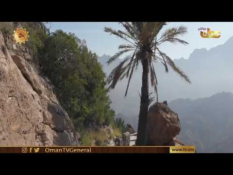#من_عمان | الثلاثاء 24 نوفمبر 2020