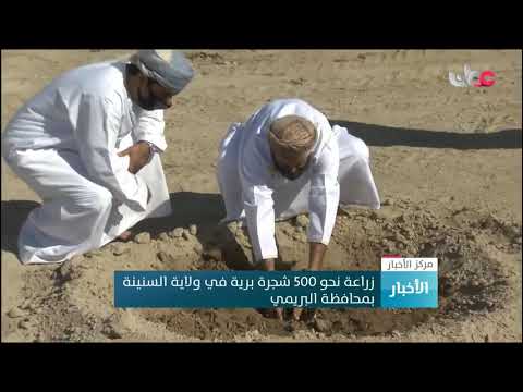 زراعة نحو 500 شجرة برية في ولاية السنينةبمحافظة البريمي