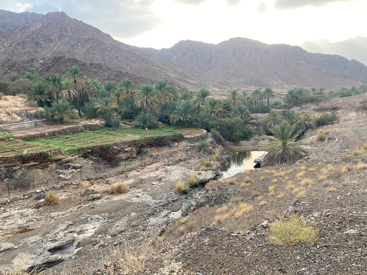 وادي الحواسنة بولاية الخابورة أحد المزارات السياحية الجميلة