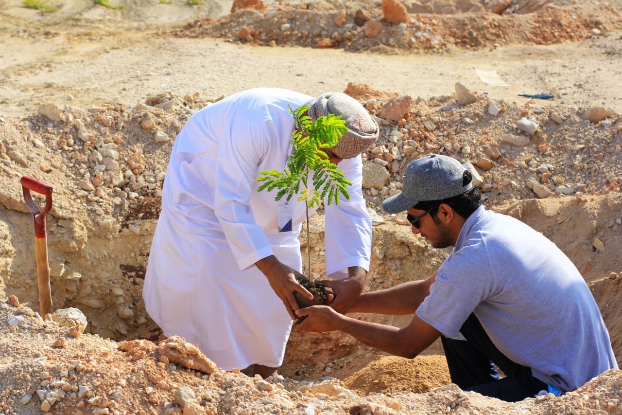 الدقم تواصل مشروع زيادة الرقعة الخضراء بمساندة المجتمع ودعم من القطاعين العام والخاص ﻿