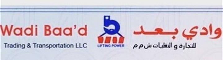 ‏شركة وادي بعد للتجارة والنقليات