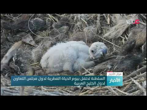 السلطنة تحتفل بيوم الحياة الفطرية لدول مجلس التعاون لدول الخليج العربية