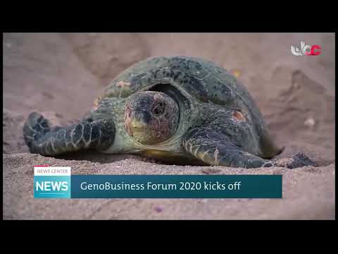 GenoBusiness Forum 2020 kicks off