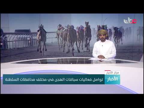تواصل فعاليات سباقات الهجن في مختلف محافظات السلطنة