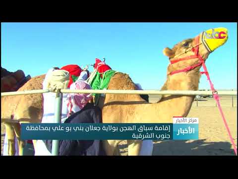 إقامة سباق الهجن بولاية جعلان بني بوعلي بمحافظة جنوب الشرقية