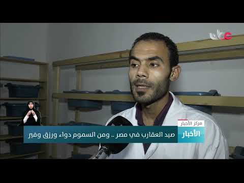 #مركز_الأخبارصيد العقارب في مصر .. ومن السموم دواء ورزق وفير