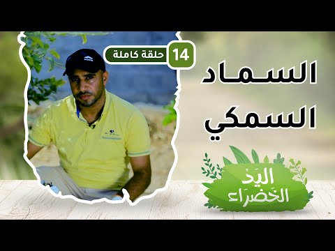 السماد السمكي – ح14 – اليد الخضراء