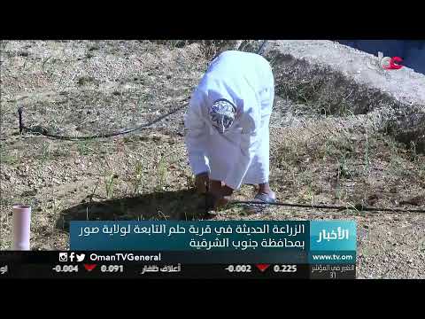#أخبار_الثانية ظهرا | الأحد 10 يناير 2021
