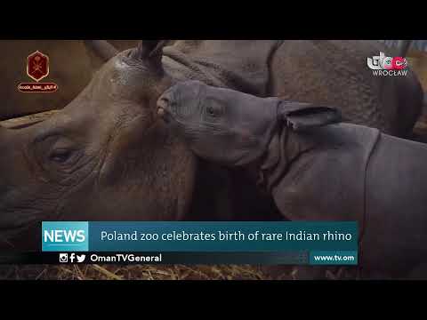 English News Bulletin | Wednesday 13 January 2021