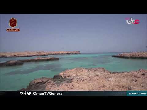 #قهوة_الصباح | الخميس 14 يناير 2021