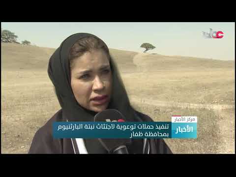 تنفيذ حملات توعوية لاجتثاث نبتة البارثنيوم بمحافظة #ظفار