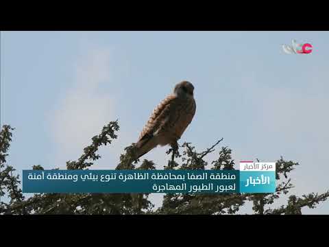 منطقة الصفا بمحافظة الظاهرة تنوع بيئي ومنطقة آمنة لعبور الطيور المهاجرة