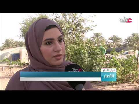دراسة بحثية تؤكد نجاح استخدام المياه المعالجة لري عدد من الأشجار دون تأثير على التربة والمحاصيل