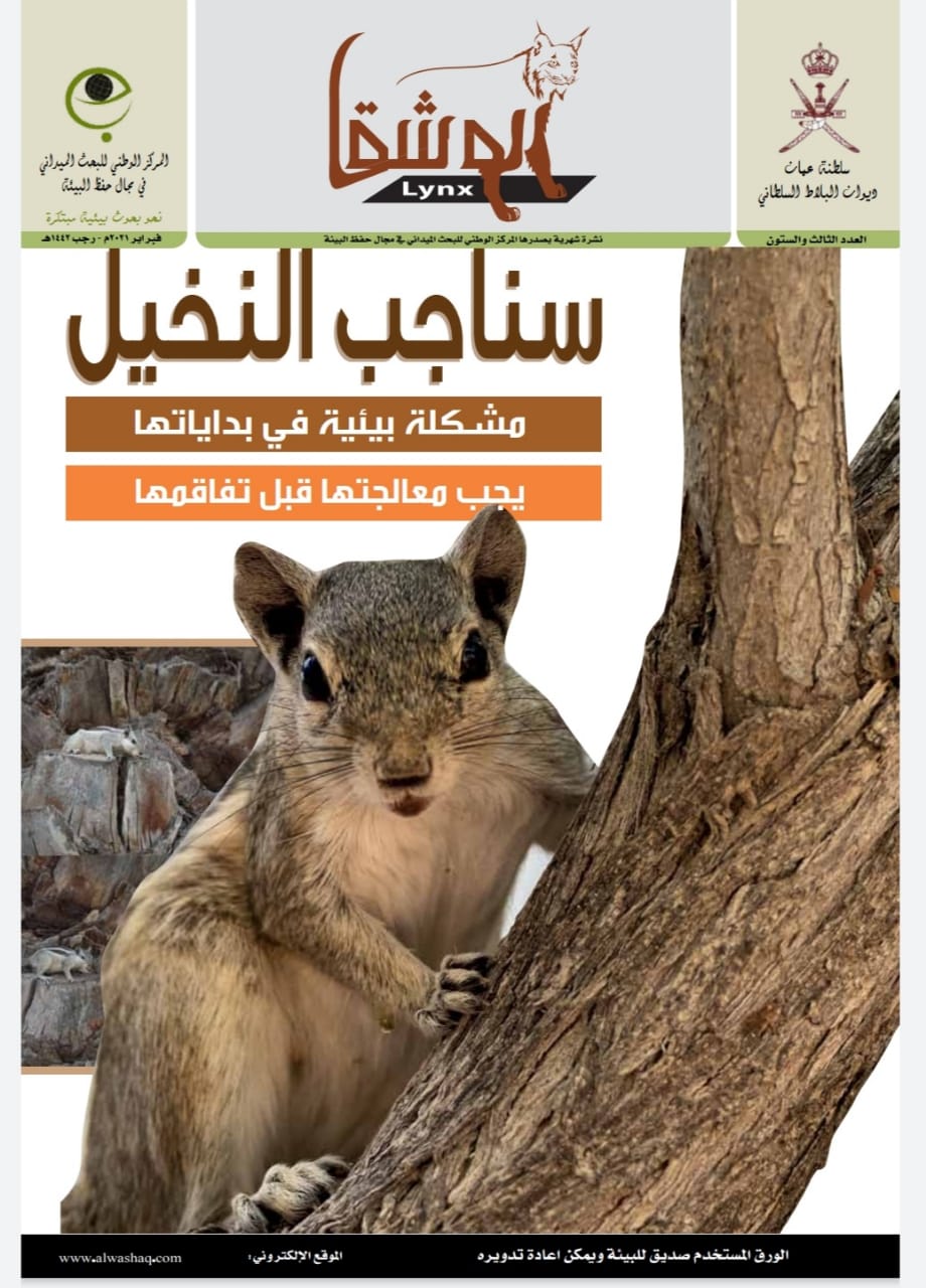 نشرة الوشق في عددها الجديد تسلط الضوء على سناجب النخيل