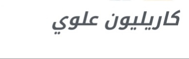 شركة كاريليون علوي – وظيفة شاغرة