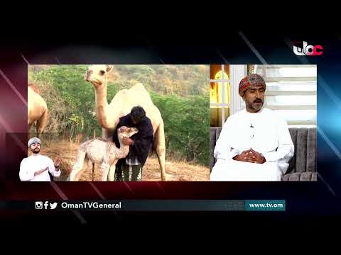 #من_عمان | الخميس 4 فبراير 2021م