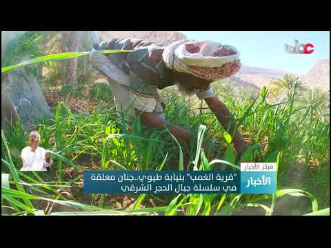 “قرية الغمب” بنيابة طيوي..جنان معلقة في سلسلة جبال الحجرِ الشرقي