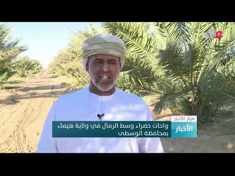 واحات خضراء وسط الرمال في ولاية هيماء بمحافظة الوسطى