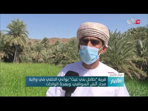 قرية “حلاحل بني غيث” بوادي الحلتي في ولاية صحار أنسُ السواقي، وبهجة الواحات