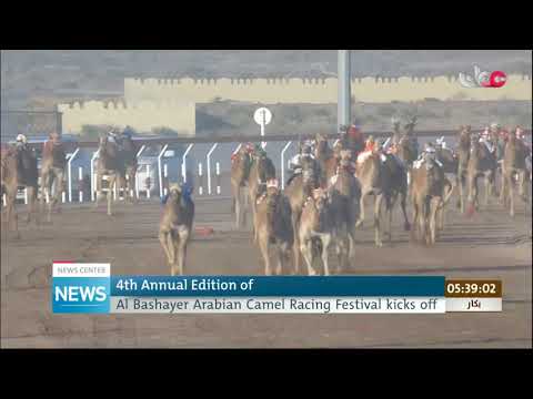 4th Annual Edition of Al Bashayer Arabian Camel Racing Festival kicks off