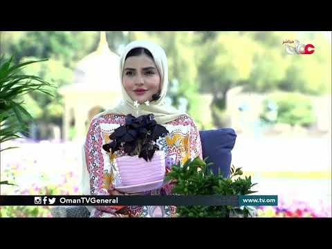 النباتات الداخلية فن وطاقة إيجابية